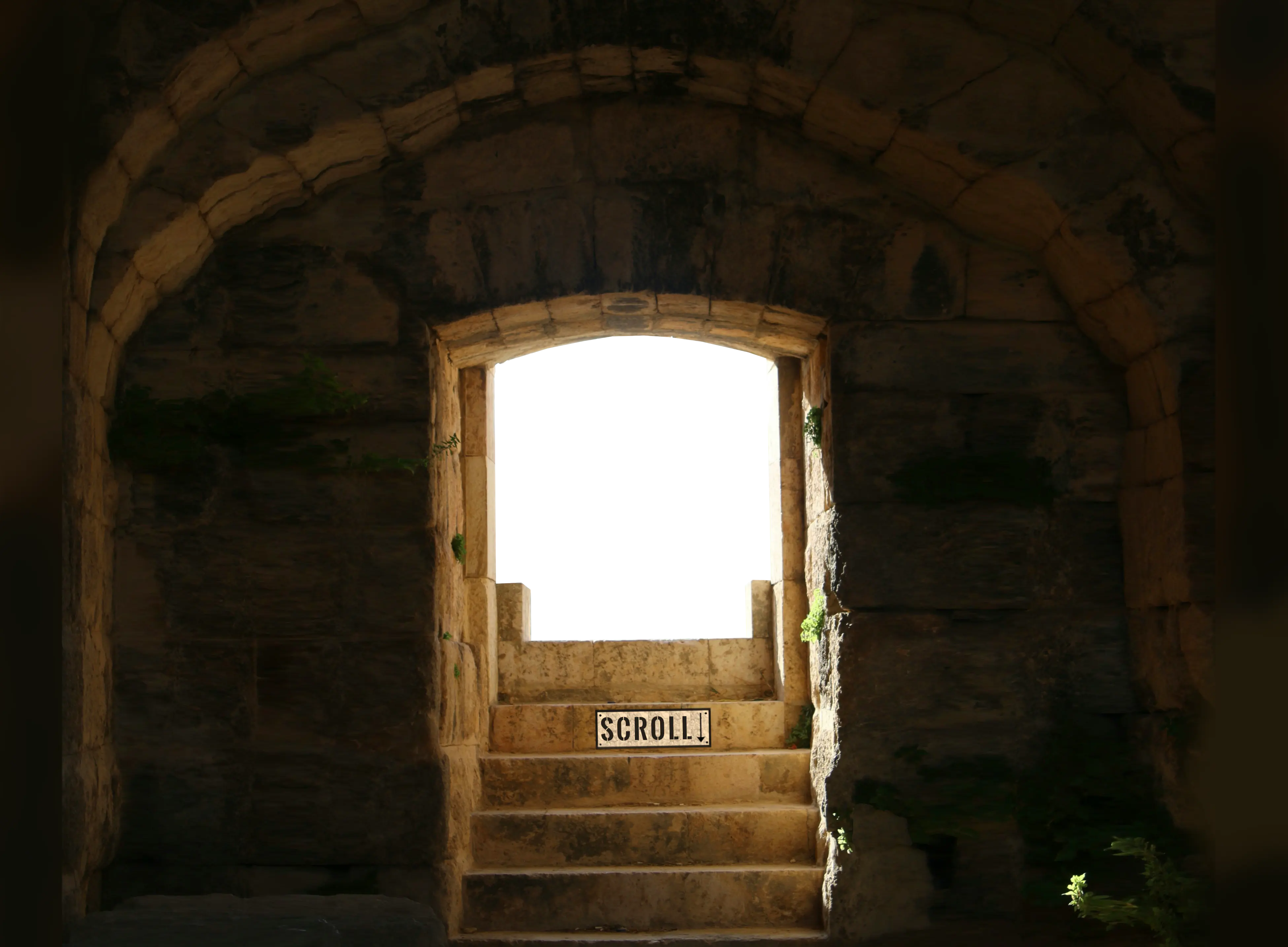 window image